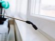 Consider Pest Control Services
