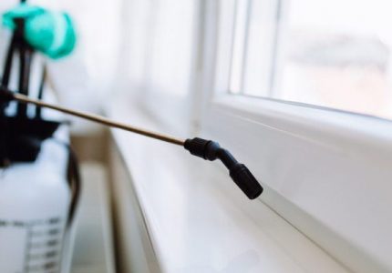 Consider Pest Control Services