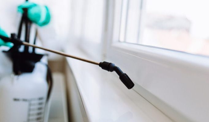 Consider Pest Control Services