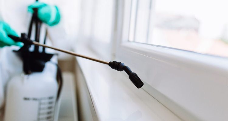 Why Consider Pest Control Services?